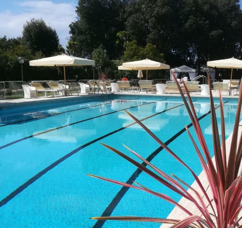 Park Hotel Villa Ariston Camaiore Bagian luar foto